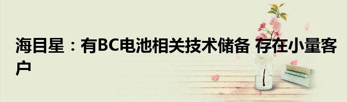 海目星:有BC电池相关技术储备 存在小量客户