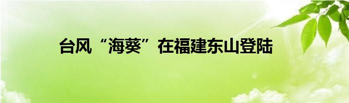 台风“海葵”在福建东山登陆