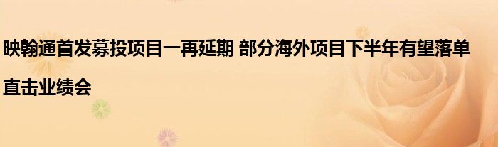 映翰通首发募投项目一再延期 部分海外项目下半年有望落单|直击业绩会