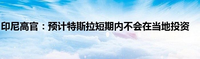 印尼高官:预计特斯拉短期内不会在当地投资