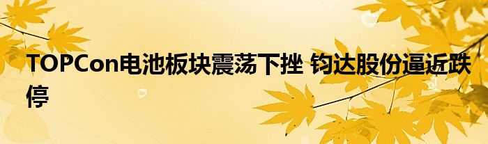 TOPCon电池板块震荡下挫 钧达股份逼近跌停