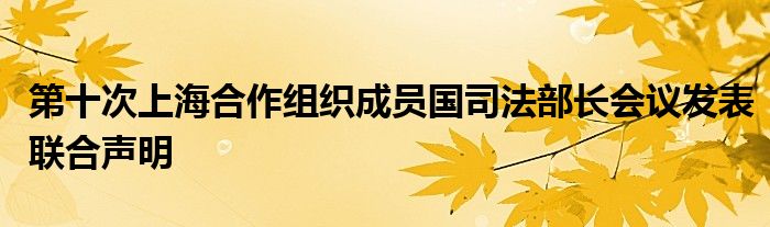 第十次上海合作组织成员国司法部长会议发表联合声明