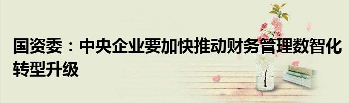 国资委：中央企业要加快推动财务管理数智化转型升级