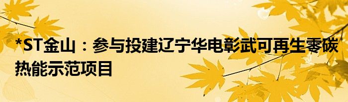 *ST金山:参与投建辽宁华电彰武可再生零碳热能示范项目
