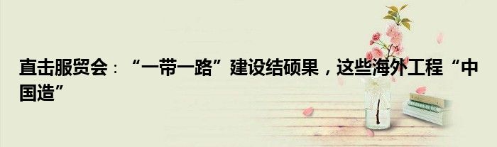 直击服贸会∶“一带一路”建设结硕果，这些海外工程“中国造”