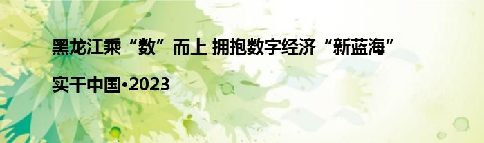 黑龙江乘“数”而上 拥抱数字经济“新蓝海” |实干中国·2023