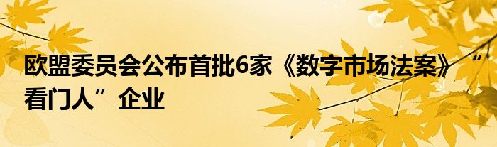欧盟委员会公布首批6家《数字市场法案》“看门人”企业
