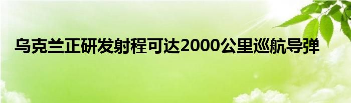 乌克兰正研发射程可达2000公里巡航导弹
