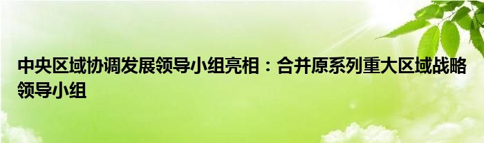 中央区域协调发展领导小组亮相:合并原系列重大区域战略领导小组