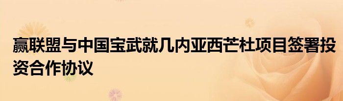 赢联盟与中国宝武就几内亚西芒杜项目签署投资合作协议