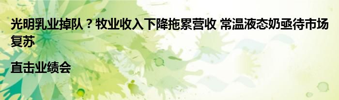 光明乳业掉队?牧业收入下降拖累营收 常温液态奶亟待市场复苏|直击业绩会