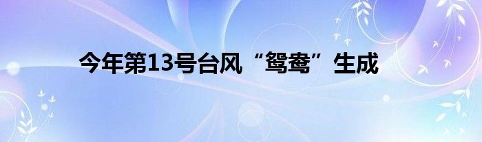 今年第13号台风“鸳鸯”生成