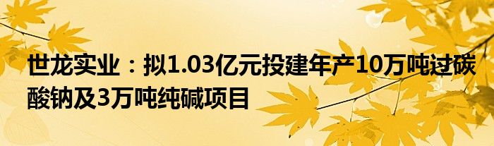 世龙实业:拟1.03亿元投建年产10万吨过碳酸钠及3万吨纯碱项目