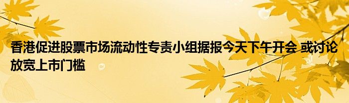 香港促进股票市场流动性专责小组据报今天下午开会 或讨论放宽上市门槛