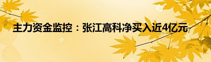 主力资金监控:张江高科净买入近4亿元