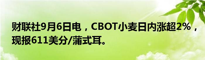财联社9月6日电,CBOT小麦日内涨超2%,现报611美分/蒲式耳。