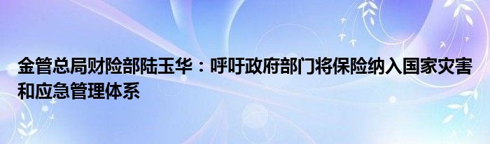 金管总局财险部陆玉华:呼吁政府部门将保险纳入国家灾害和应急管理体系