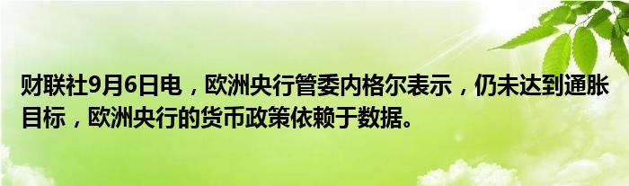 财联社9月6日电,欧洲央行管委内格尔表示,仍未达到通胀目标,欧洲央行的货币政策依赖于数据。