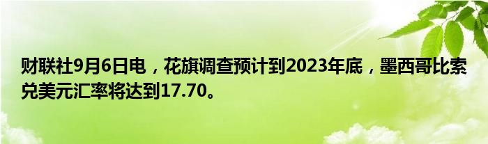 财联社9月6日电,花旗调查预计到2023年底,墨西哥比索兑美元汇率将达到17.70。
