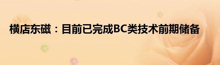横店东磁:目前已完成BC类技术前期储备