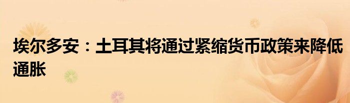 埃尔多安:土耳其将通过紧缩货币政策来降低通胀