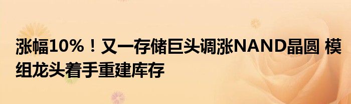 涨幅10%！又一存储巨头调涨NAND晶圆 模组龙头着手重建库存