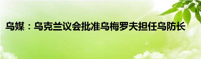 乌媒:乌克兰议会批准乌梅罗夫担任乌防长