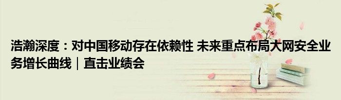 浩瀚深度:对中国移动存在依赖性 未来重点布局大网安全业务增长曲线|直击业绩会