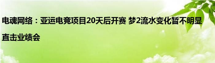 电魂网络:亚运电竞项目20天后开赛 梦2流水变化暂不明显|直击业绩会