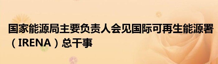 国家能源局主要负责人会见国际可再生能源署(IRENA)总干事
