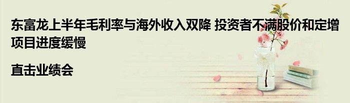 东富龙上半年毛利率与海外收入双降 投资者不满股价和定增项目进度缓慢|直击业绩会