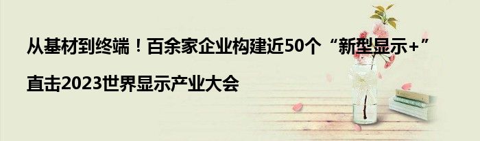 从基材到终端!百余家企业构建近50个“新型显示+”|直击2023世界显示产业大会