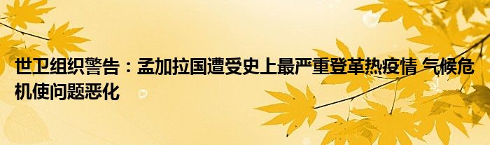 世卫组织警告:孟加拉国遭受史上最严重登革热疫情 气候危机使问题恶化