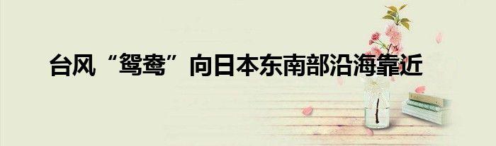 台风“鸳鸯”向日本东南部沿海靠近