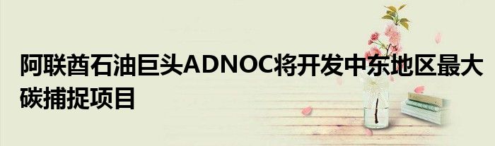 阿联酋石油巨头ADNOC将开发中东地区最大碳捕捉项目
