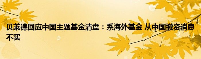 贝莱德回应中国主题基金清盘:系海外基金 从中国撤资消息不实