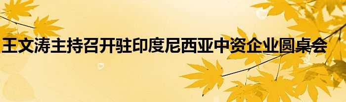 王文涛主持召开驻印度尼西亚中资企业圆桌会