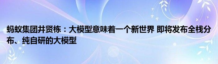 蚂蚁集团井贤栋:大模型意味着一个新世界 即将发布全栈分布、纯自研的大模型