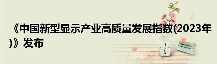 《中国新型显示产业高质量发展指数(2023年)》发布