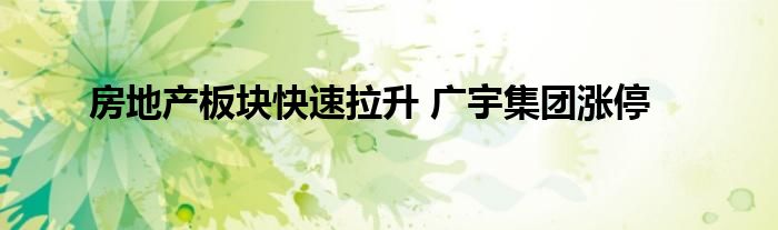 房地产板块快速拉升 广宇集团涨停