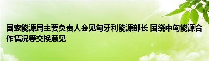 国家能源局主要负责人会见匈牙利能源部长 围绕中匈能源合作情况等交换意见