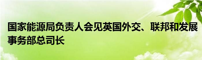 国家能源局负责人会见英国外交、联邦和发展事务部总司长