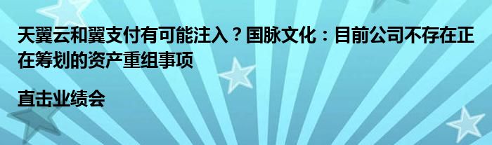 天翼云和翼支付有可能注入?国脉文化:目前公司不存在正在筹划的资产重组事项|直击业绩会