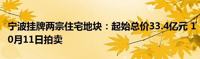 宁波挂牌两宗住宅地块:起始总价33.4亿元 10月11日拍卖
