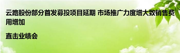 云路股份部分首发募投项目延期 市场推广力度增大致销售费用增加 |直击业绩会