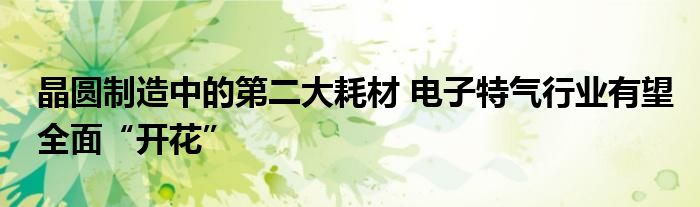晶圆制造中的第二大耗材 电子特气行业有望全面“开花”
