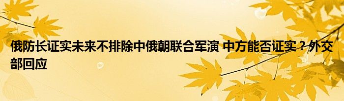俄防长证实未来不排除中俄朝联合军演 中方能否证实?外交部回应