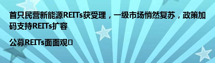 首只民营新能源REITs获受理,一级市场悄然复苏,政策加码支持REITs扩容|公募REITs面面观⑬