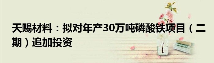 天赐材料:拟对年产30万吨磷酸铁项目(二期)追加投资