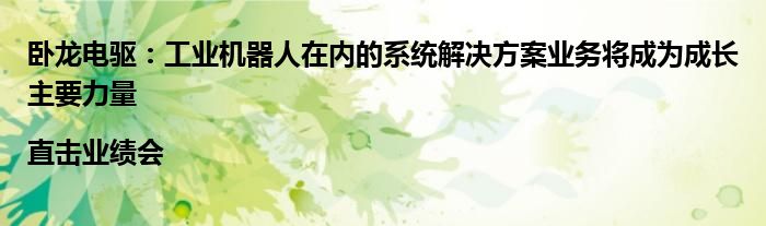 卧龙电驱:工业机器人在内的系统解决方案业务将成为成长主要力量|直击业绩会
